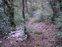 石谷山登山道