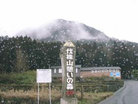 伐株山