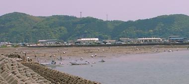 海浜公園からの海辺