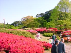 久留米・森林公園