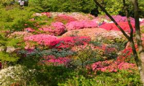 久留米・森林公園