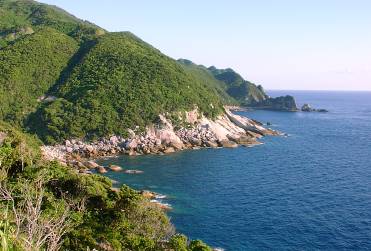 屋久島・西部林道から