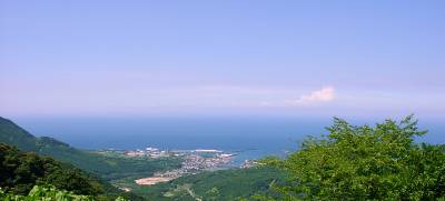 屋久島・白谷雲水峡への途中で