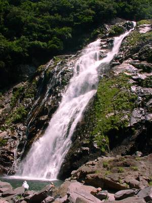 屋久島/大川の滝